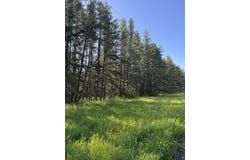 XX Waldo Rd, Two Harbors, MN 55616