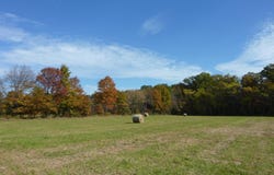 35 BARBERTOWN POINT BREEZE ROAD, FRENCHTOWN, NJ 08825