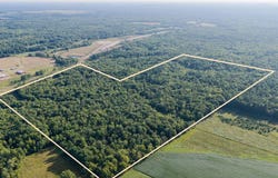 98+/- Acres Hwy 95, Alma Center, WI 54611