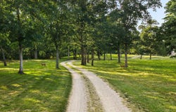 102 Sesuit Neck Road, East Dennis, MA 02641