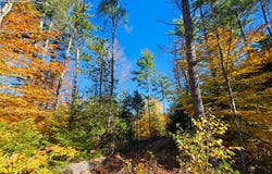 M13 L55 Holman Road, Peru, ME 04290