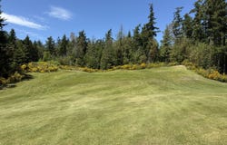 7401 Cape George Rd, Port Townsend, WA 98368