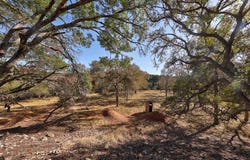 196 B Rock Bottom Road, Hunt, TX 78024
