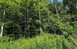 1 Acre 305th Avenue, Holcombe, WI 54745
