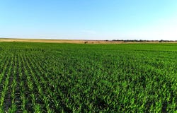 TBD West Road, Rozel, KS 67574