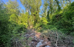 EDGEMONT Road, FREDERICK, MD 21702