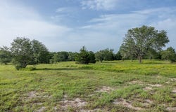 TBD 2839 Schoenst Road, Carmine, TX 78932