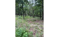 Beechnut Road, Stover, MO 65078