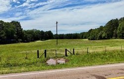 30 acres Highway 21, Ozone, AR 72854
