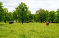 E 840 &  S 3550 Rd, Stroud, OK 74079