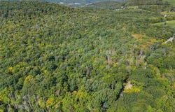299 Burts Road, KIRKWOOD, NY 13795