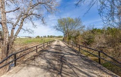Tract 6 Private Road 6040, Blue Ridge, TX 75424