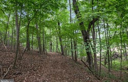 1202 PACK HORSE ROAD, CROSS JUNCTION, VA 22625
