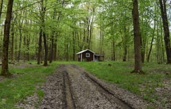 Miller Road, North East, NY 16428