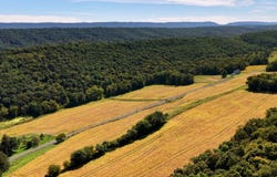 6038 PA-35, Honey Grove, PA 17035
