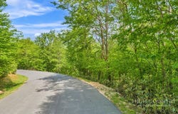 Stack Rock Trail lot: 218, Blowing Rock, NC 28605