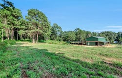 400 Indian Hen Drive, Garrison, TX 75946