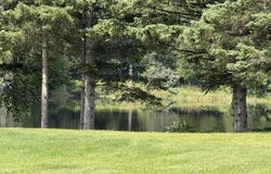 N13515 Newberg, Channing, MI 49815
