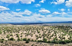 TBD DD Road, Naturita, CO 81422