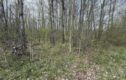 1320 County Route 49, Winthrop, NY 13697
