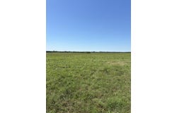 1162 Sparks Road, Gallion, AL 36742