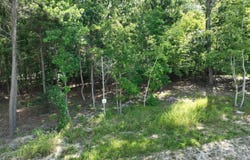 Timber Trail Lane, Prosperity, SC 29127