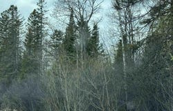 US 2 Highway, Escanaba, MI 49829