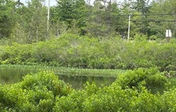 Dead Stream, Cooper, ME 04657