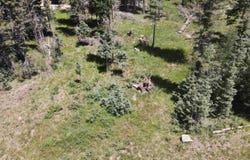 Lot 109 Mountain View Rd, Red River, NM 87558