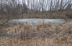 0WP Bowbell Rd, Coventry, NY 13778