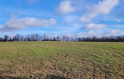 0 Bales Rd. (26.5+/- Acres), Middletown, MO 63359