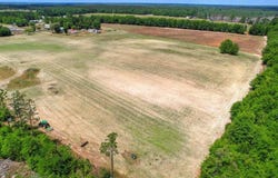 127 Tinker Creek Road, Williston, SC 29853