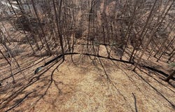 297 Oneida, Ellijay, GA 30540