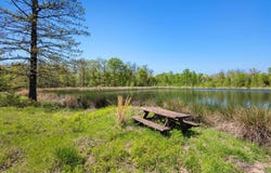 Tbd FR 906 E TX, Paris, TX 75462