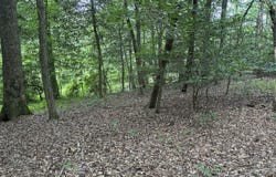 0 Lord's Creek Drive, Eden, MD 21822
