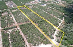 195 CR 1461, Alice, TX 78332
