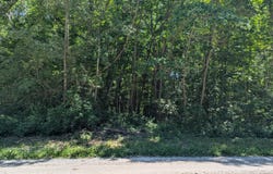 15320 Larsen Avenue NE, Gowen, MI 49326