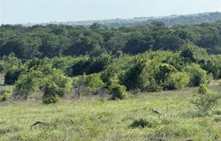 Tbd FM 2486 & CR 620, Hamilton, TX 76531