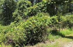 Belair Rd, Glen Spey, NY 12737