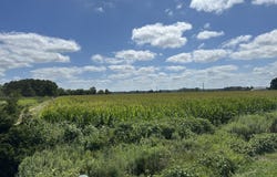 0 Whitehaven Rd, Tyaskin, MD 21865