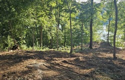 Lot 9 Longview Estates DR, Goodview, VA 24095