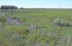 C. DEL SOL A081/MULBERRY A146, McIntosh, NM 87032