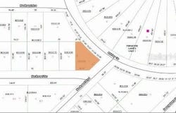 SHIRLEY CIR,, GEORGETOWN, FL 32139