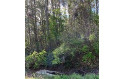 6378 COUNTY ROAD 315C, Keystone Heights, FL 32656