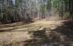 Lot 5 Blackberry Bend, Elberton, GA 30635