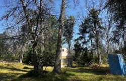 1509 E 10 Mile Road, Irons, MI 49644