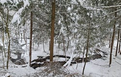 7900 New Floyd Rd, Floyd, NY 13440
