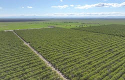 11885 Road 9, Madera, CA 93637