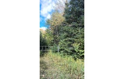 Pierce Street, Wakefield, MI 49968