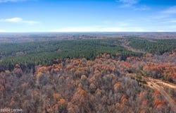 285 Sherry Lane, Enville, TN 38332